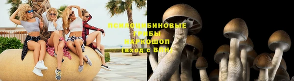 дживик Алзамай