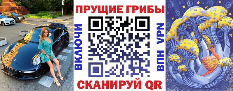 Галлюциногенные грибы GOLDEN TEACHER  продажа наркотиков  Асбест 
